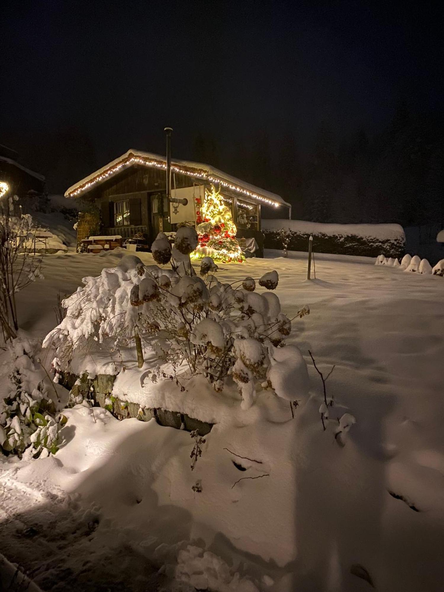 Das Alte Forsthaus Spiegelhuette Lindberg ภายนอก รูปภาพ