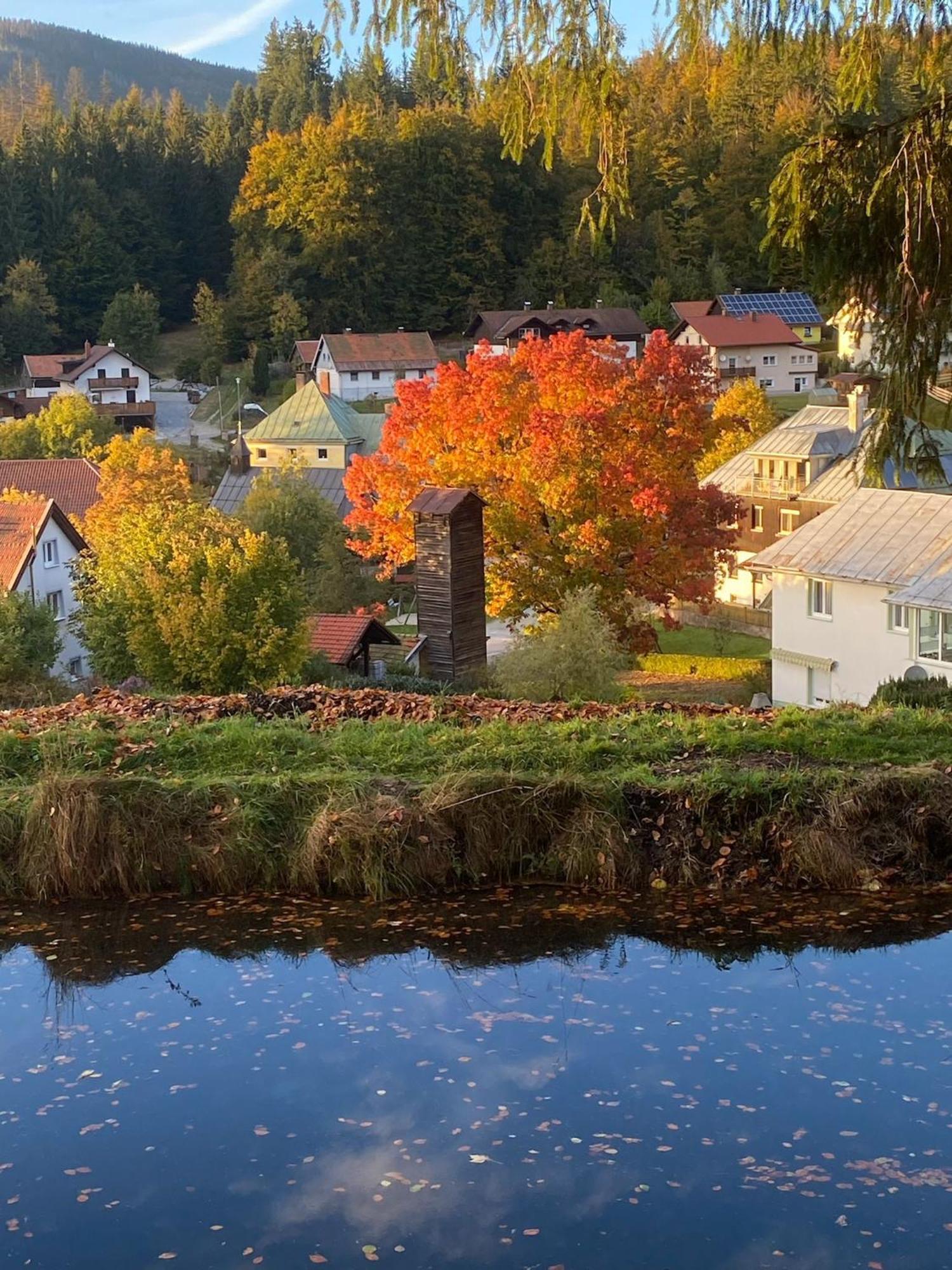 Das Alte Forsthaus Spiegelhuette Lindberg ภายนอก รูปภาพ