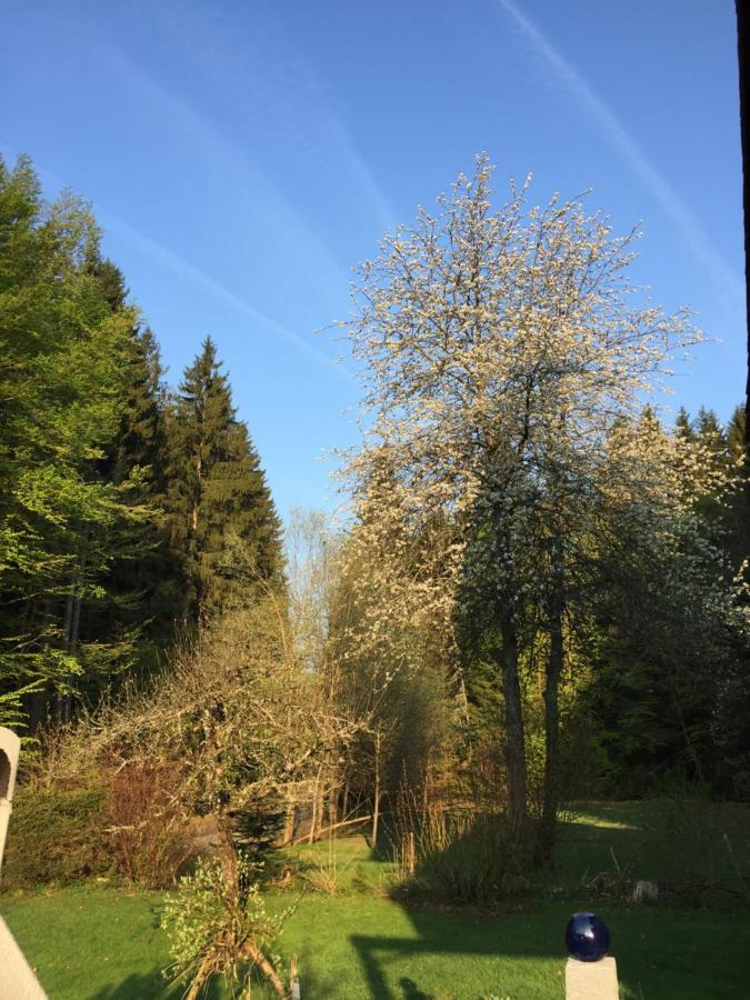Das Alte Forsthaus Spiegelhuette Lindberg ภายนอก รูปภาพ